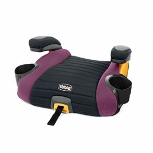 Mejores Precios Y Opiniones De Elevador Respaldo Coche Disponible En Linea