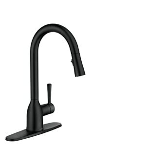 El Mejor Review De Grifos Para Agua Marca Moen Disponible En Linea