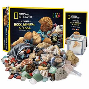 Mejores Precios Y Opiniones De Colecciones Minerales 8211 Solo Los Mejores